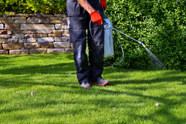 Best Seasonal Pest Control  in San Marcos, TX